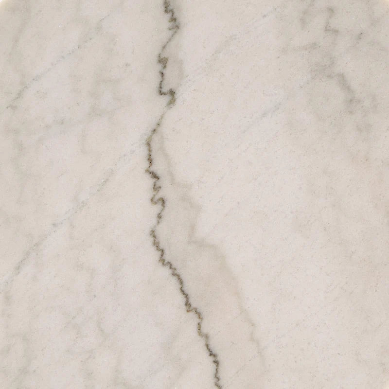 Egan Champagne Silver Finish Marble Top Table by iNSPIRE Q Modern