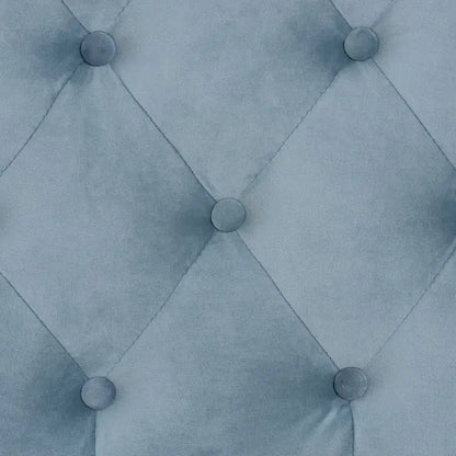 Benjamin Modern&Contemporary Light Blue Velvet Upholstered Wood Daybed